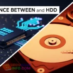 Difference Between SSD and HDD for Beginners